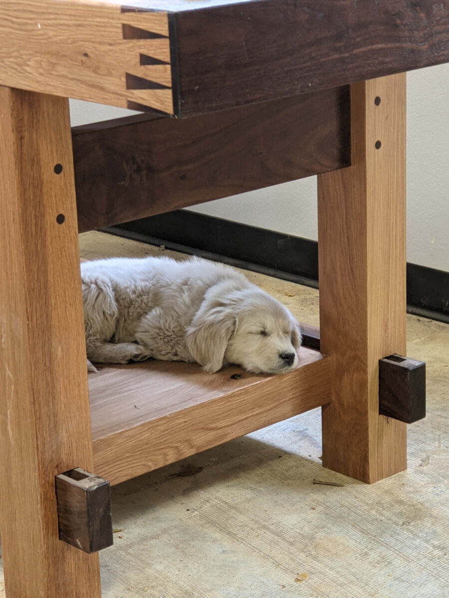 puppy rests on the bottom shelf of a custom made work table